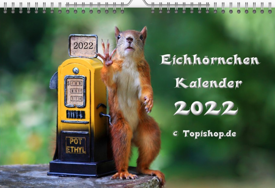 Eichhoernchen Kalender 2022